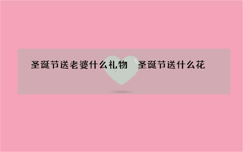 圣诞节送老婆什么礼物 圣诞节送什么花